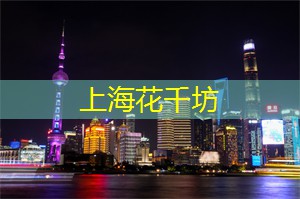 2024年中国营养保健食品外贸形势分析